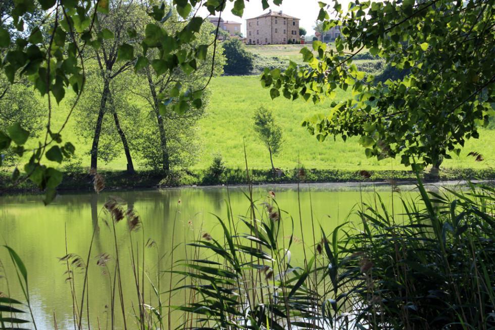 Appartamenti Cenni - Relais su Lago Varsi Extérieur photo
